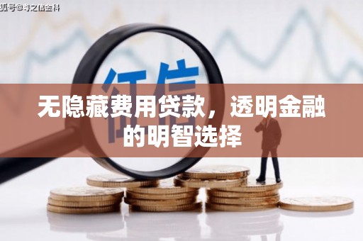 静乐无隐藏费用贷款，透明金融的明智选择