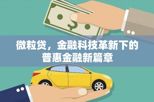 静乐微粒贷，金融科技革新下的普惠金融新篇章