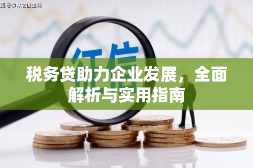 静乐税务贷助力企业发展，全面解析与实用指南