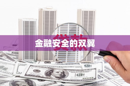 静乐金融安全的双翼