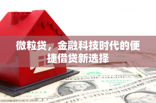 静乐微粒贷，金融科技时代的便捷借贷新选择