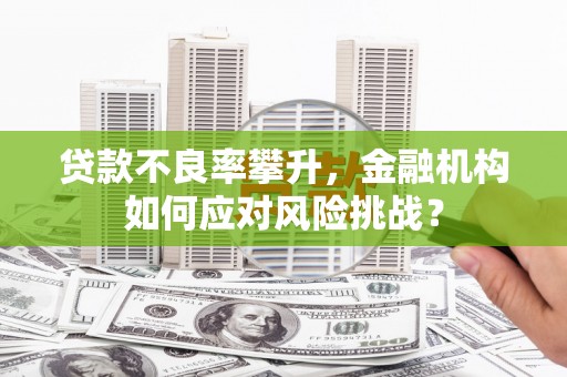 静乐贷款不良率攀升，金融机构如何应对风险挑战？