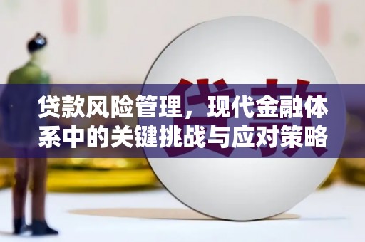 静乐贷款风险管理，现代金融体系中的关键挑战与应对策略