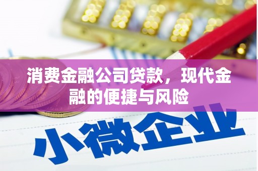 静乐消费金融公司贷款，现代金融的便捷与风险