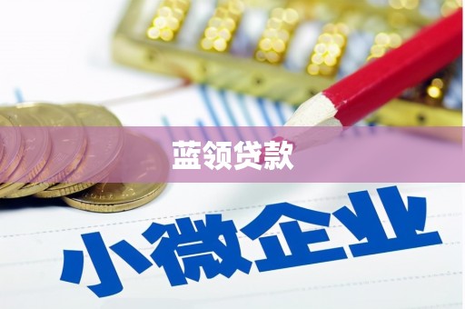 静乐蓝领贷款
