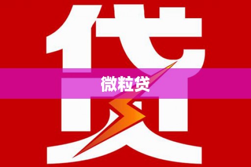 静乐微粒贷