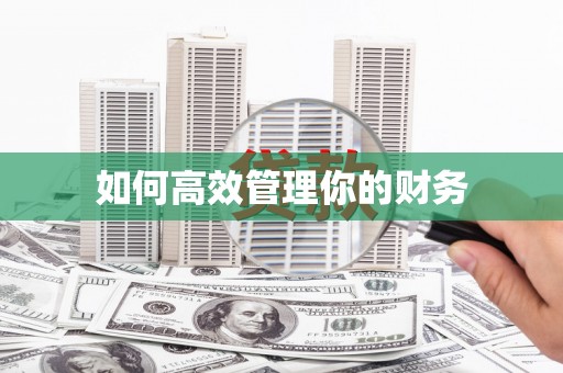 静乐如何高效管理你的财务