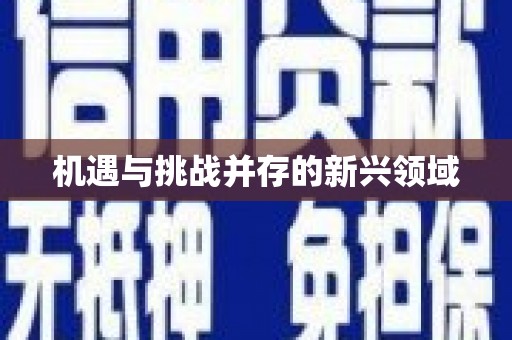 静乐机遇与挑战并存的新兴领域