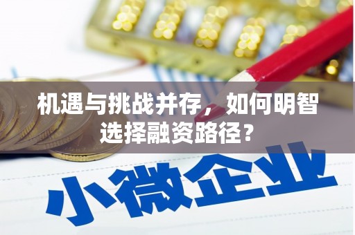 静乐机遇与挑战并存，如何明智选择融资路径？