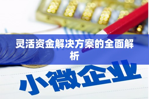 静乐灵活资金解决方案的全面解析