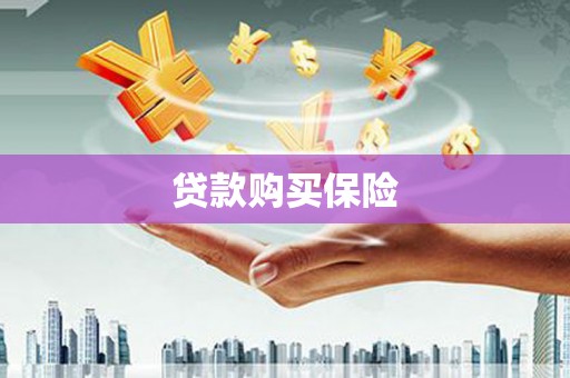 静乐贷款购买保险