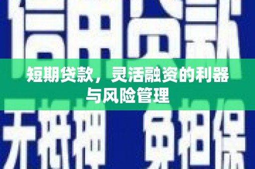 静乐短期贷款，灵活融资的利器与风险管理
