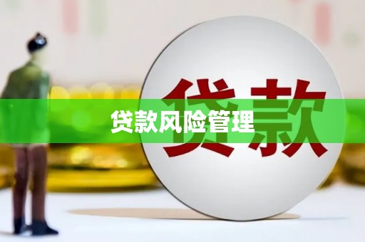 静乐贷款风险管理